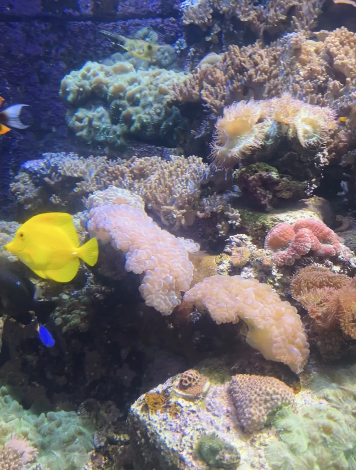 The Lost World Aquarium - Gallery image