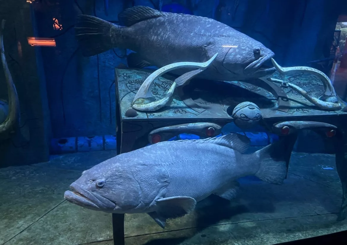 The Lost World Aquarium - Gallery image