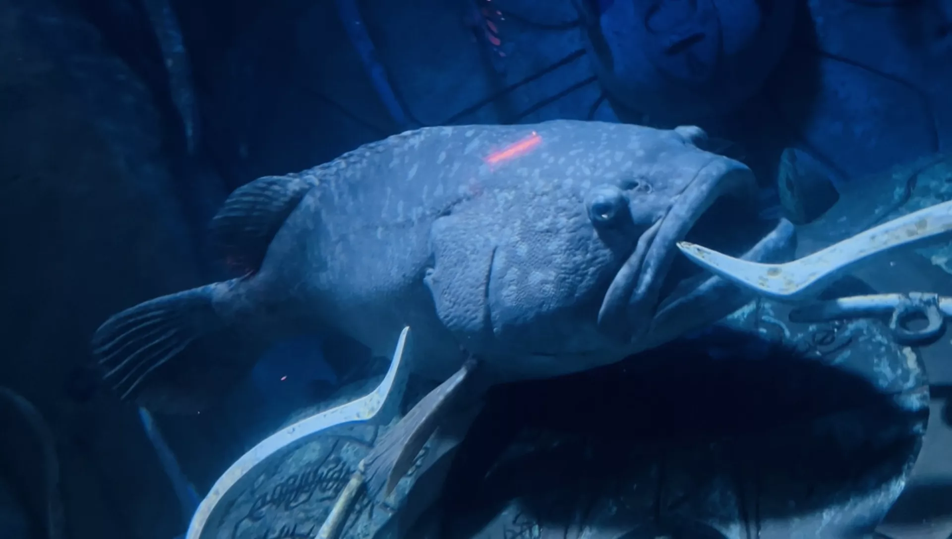 The Lost World Aquarium - Gallery image