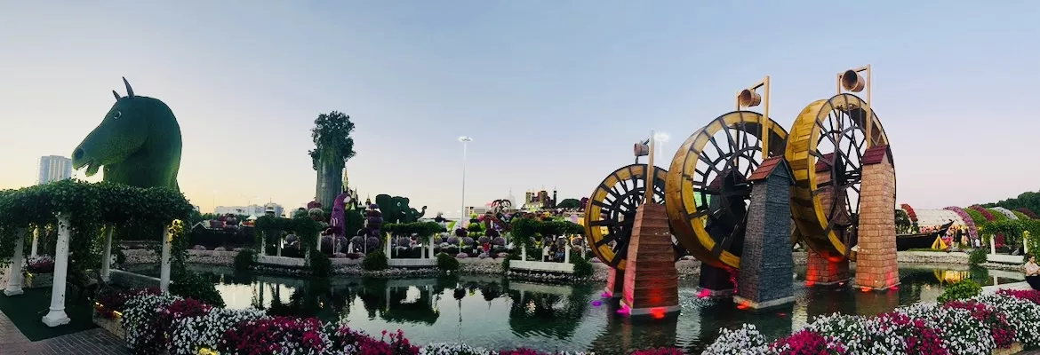 Miracle Garden - Zdjęcie z galerii