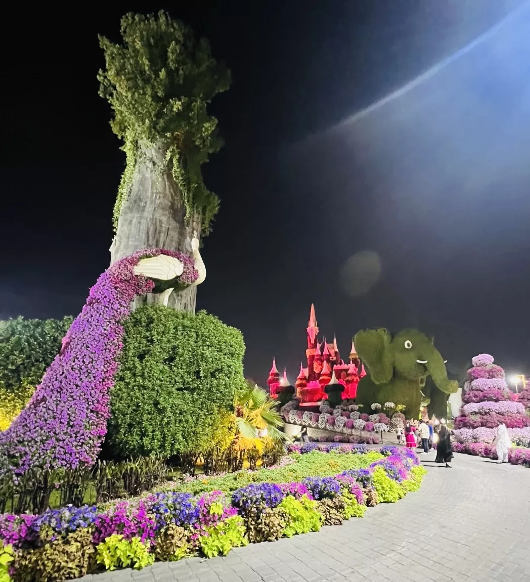 Miracle Garden - Zdjęcie z galerii