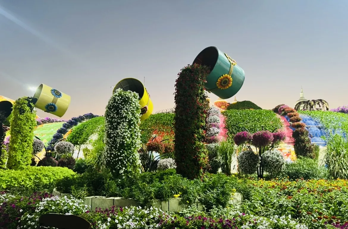 Miracle Garden - Zdjęcie z galerii