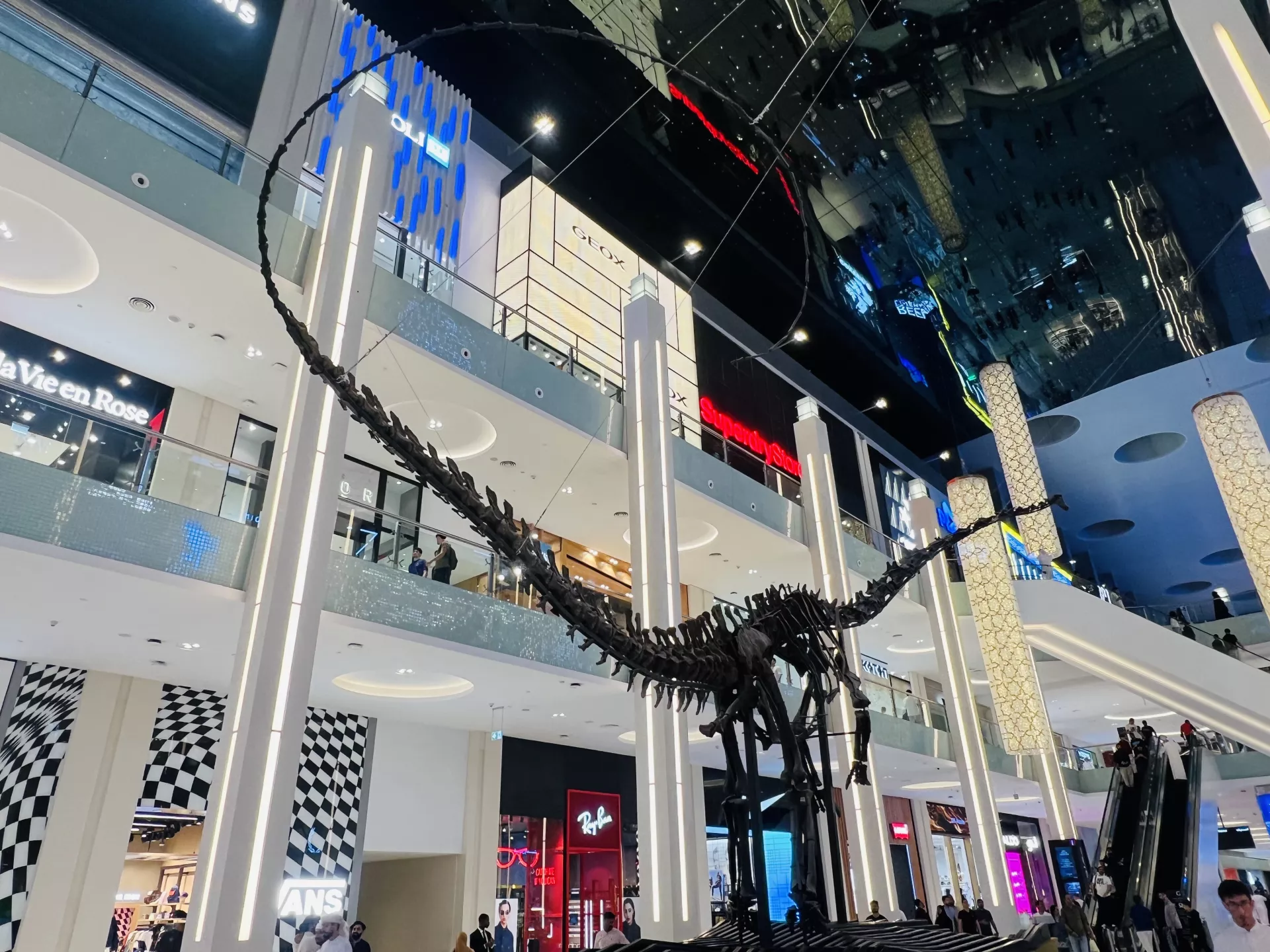 Dubai Dino - Gallery image