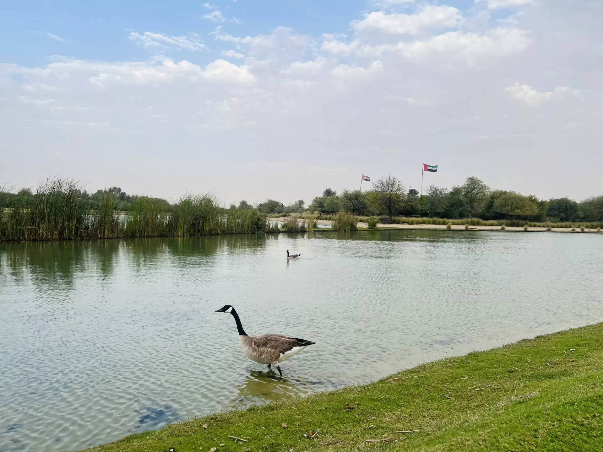 Love Lake