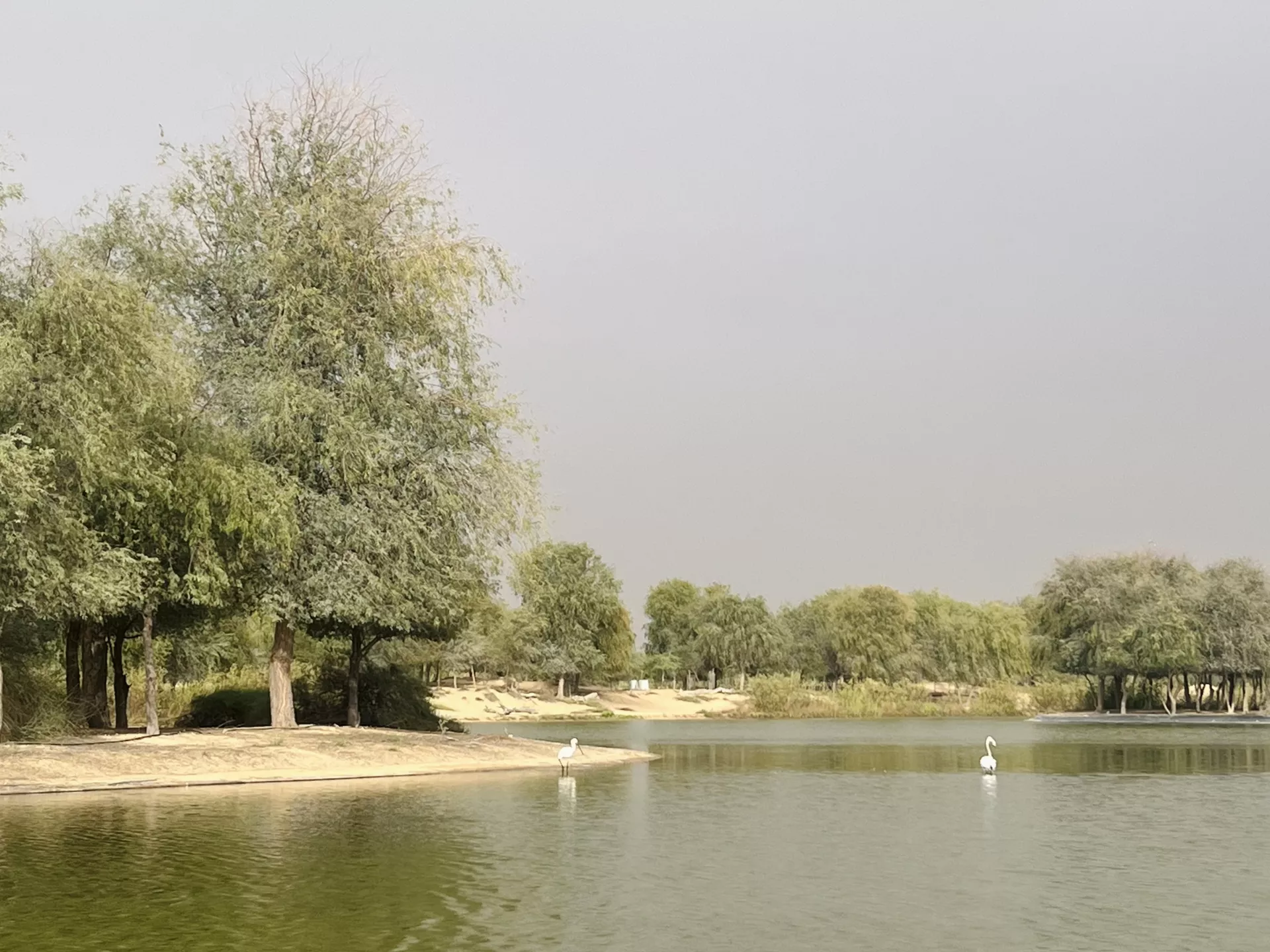 Al Qudra Lakes - Изображение галереи