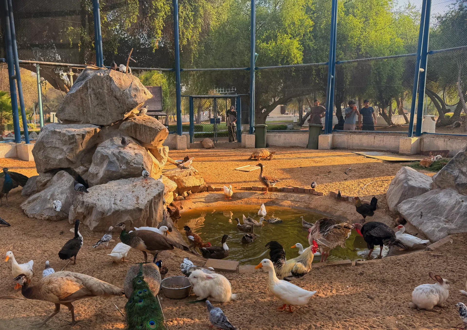 Mushrif Park - Galeriebild