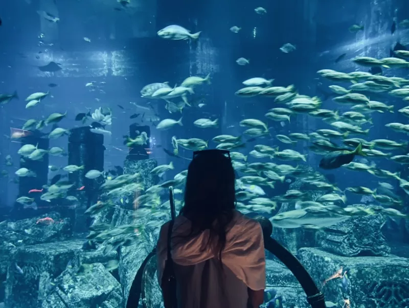 The Lost World Aquarium